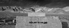 This Land Is Our Land Near Beatty, NV 8941